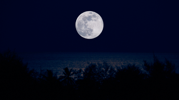 Samsung Galaxy Tab S10 FE