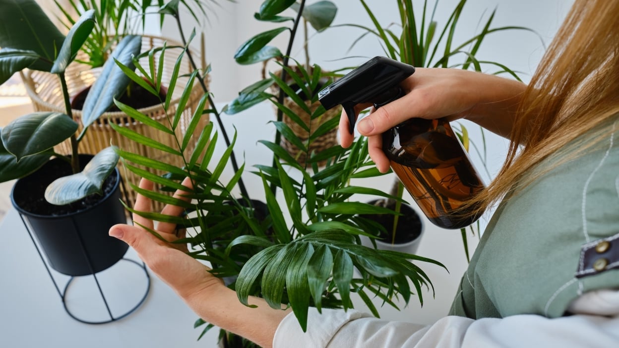 Samsung Galaxy Tab S10 FE