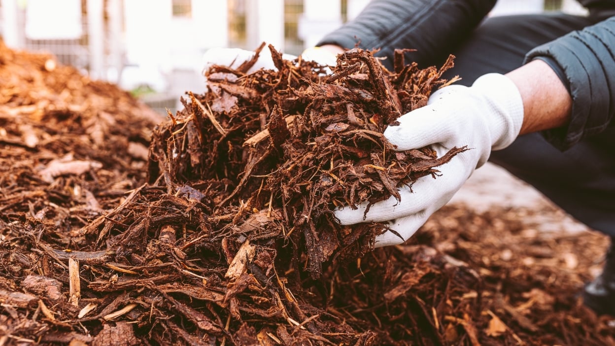 Samsung Galaxy Tab S10 FE