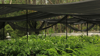 Samsung Galaxy Tab S10 FE