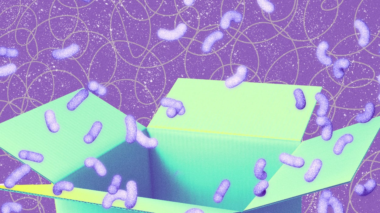 Samsung Galaxy Tab S10 FE