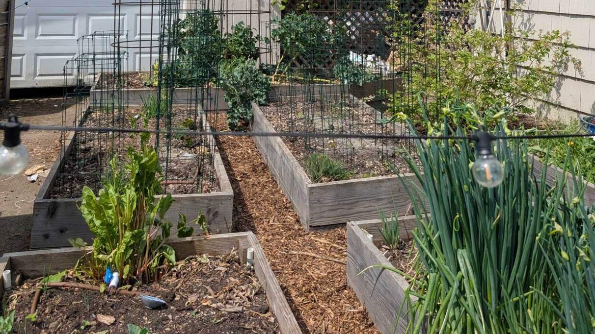 Samsung Galaxy Tab S10 FE