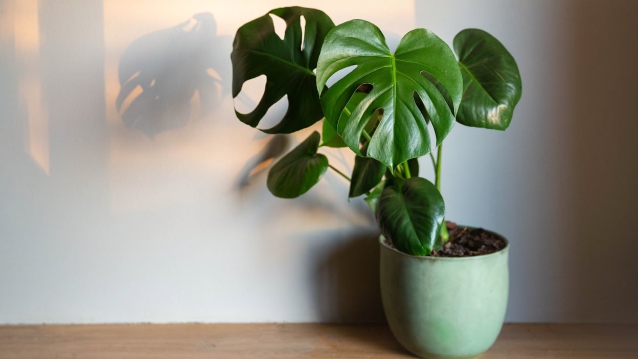 Samsung Galaxy Tab S10 FE