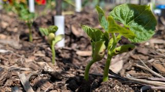 Samsung Galaxy Tab S10 FE