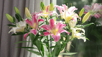 Samsung Galaxy Tab S10 FE