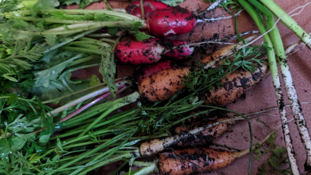 Samsung Galaxy Tab S10 FE