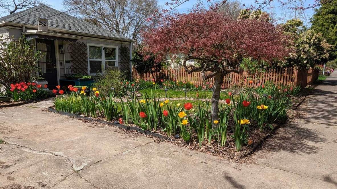 Samsung Galaxy Tab S10 FE