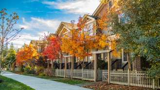 Samsung Galaxy Tab S10 FE