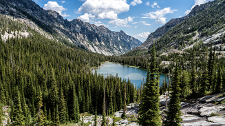 Get a Government Permit to Cut Your Own Christmas Tree at a National Forest