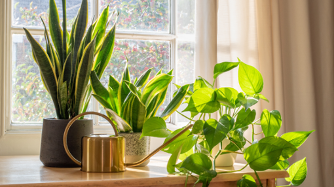 Five Smart Tech Gifts for Anyone Who Loves Plants