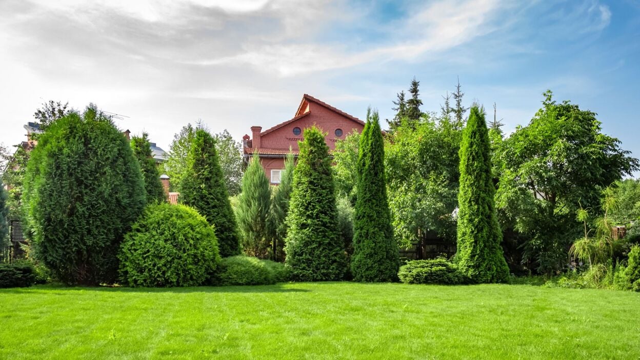 Samsung Galaxy Tab S10 FE